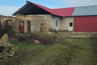 Casă individuală cu 4 camere cu Teren 6700 Mp în Gelu - 14