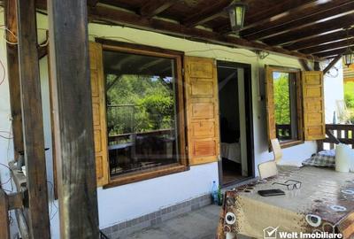 Casa de vacanta, cu lac, 5640 mp teren, Huta, com. Chiuiesti, jud. Cluj Casa de vacanta, cu lac, 5640 mp teren, Huta, com. Chiuiesti, jud. Cluj - 7