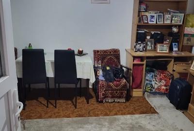 Casa Alexandru Iliescu - 6