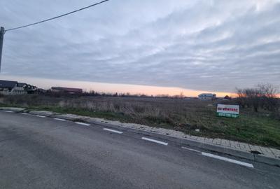 Teren Construcții intravilan de 11173 mp, în Domnești - 2