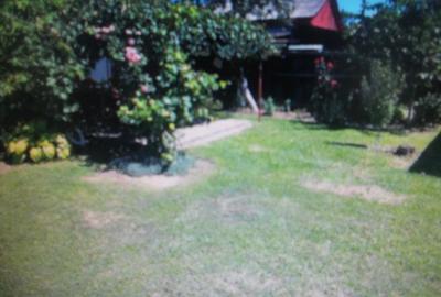 Teren de 10000 mp, în Central