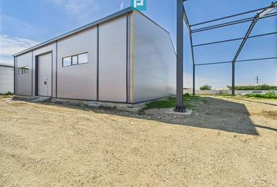 Hală industrială în zona Giarmata – Timiș - 6