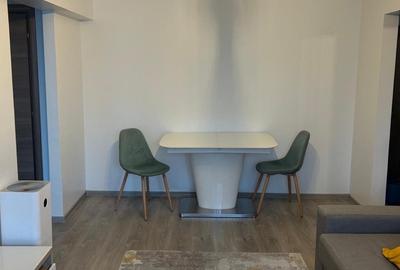 Apartament 2 camere renovat recent langa Parcul Cismigiu - 8