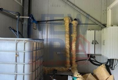 Platforma cu 2 hale de vanzare in Braila sau preluarea afacere - 14