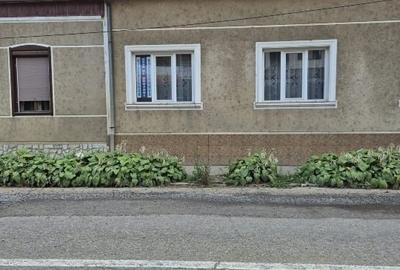 Casă individuală cu 9 camere cu Canalizare în Pecinișca - 2