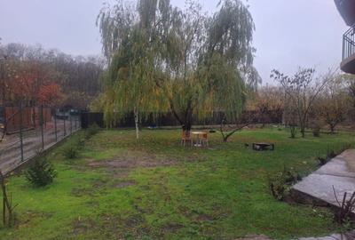 Inchiriez Vila 5 camere in Padurea Snagov, Silistea Snagovului - 4