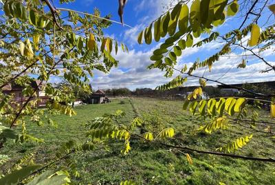 Spațiu comercial, în Ianova
