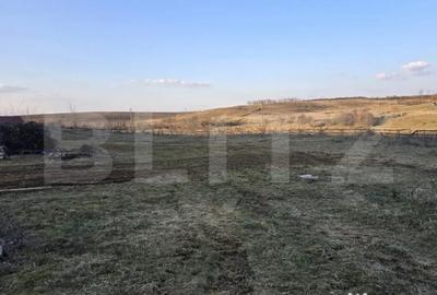 Teren de 79000 mp, în Central - 5