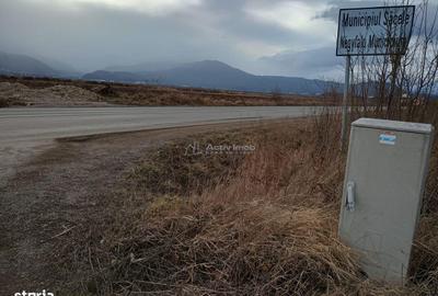 Teren de 9000 mp, în Est - 1