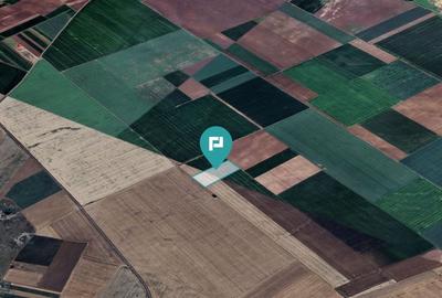 Teren arabil de 4,4Ha în Șimand - 4