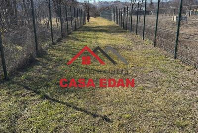 Casă cu Teren 1306 Mp în Central - 5