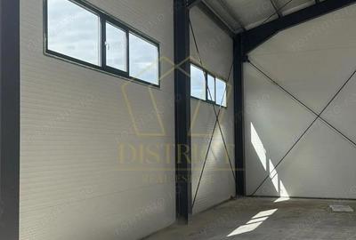 Hala industriala una de 440 mp si 380 mp I Giarmata - 7