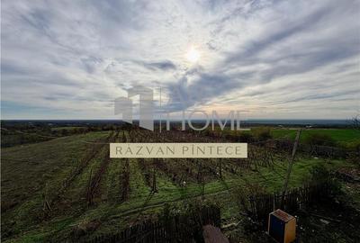 Pensiune 6 camere, teren 12713 mp, Dealul Mare, Urlati, Prahova - 16