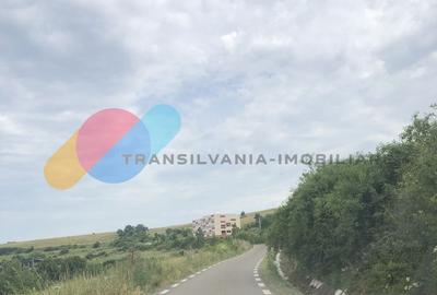 Teren Construcții intravilan de 3000 mp, în Rădaia - 1