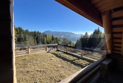 Cabana de vanzare in Colibita, 9 camere, 1002 mp teren - 6