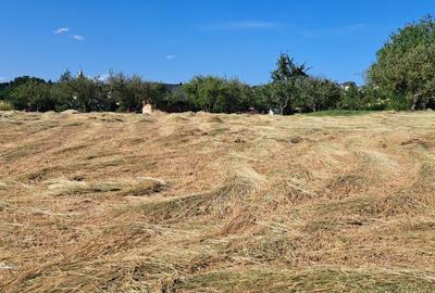 Spațiu comercial, în Feleacu - 5