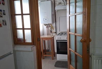 Apartament cu 3 camere decomandat în Craiovița Nouă - 12