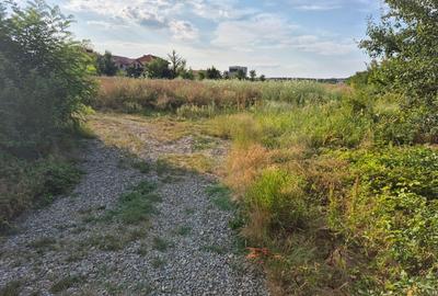 Teren ieftin la liziera padurii Balotesti, 350mp - 25