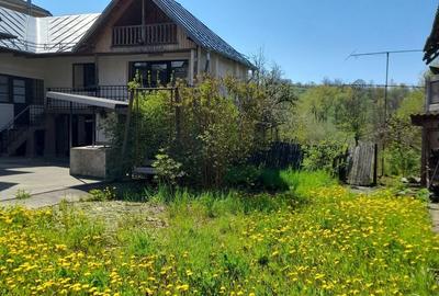 Casă cu Teren 7500 Mp în Bezdead - 1