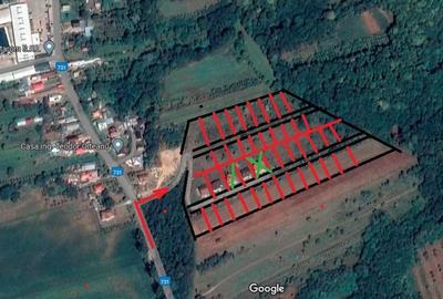 Teren Intravilan Parcelabil - 3