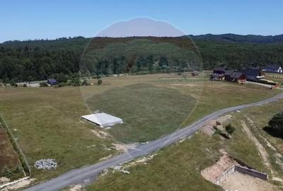 Teren de 3322 mp, în Paltin - 3