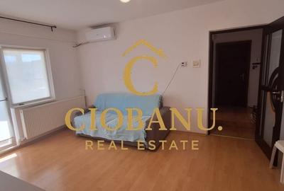 Apartament 2 camere de inchiriat zona Brazda lui Novac - 11