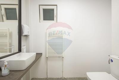 CENTRAL - Cladire birouri DE INCHIRIAT - 7