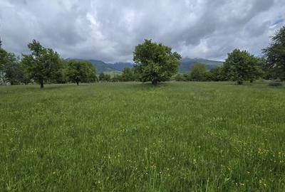 Teren intravilan - 2 minute de centru Prundu Bargaului - 26 parcele - 2