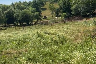 Teren de 4630 mp, în Rădmănești - 4