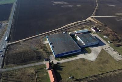 Spațiu industrial, de 6,227 mp, în Homorog - 5