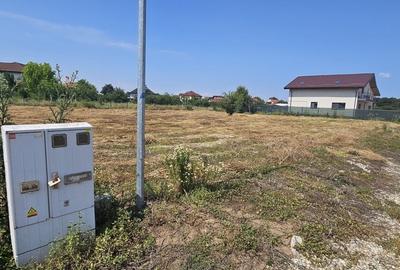 3 loturi cu suprafete de 600 mp si  deschidere de 20 in Eden Forest - 4