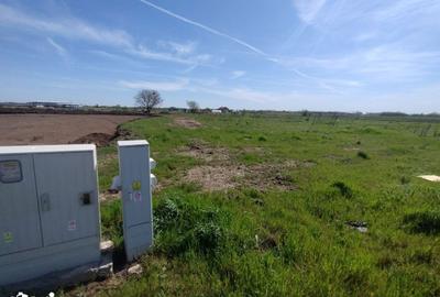 Teren de 2600 mp, în Frumușani - 3