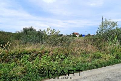 Teren extravilan 4800mp la intrare in Mohu - 2