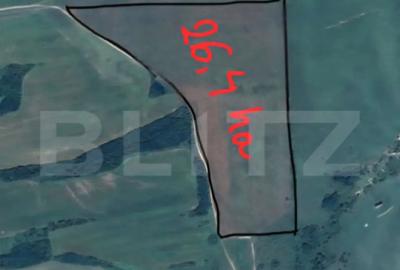 Teren de 243504 mp, în Ardud