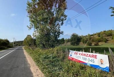 Teren Manastirea Humorului / Strada Principala 22,238 MP - 3