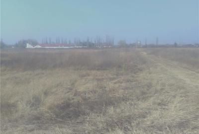 Teren de 8900 mp, în Șimian - 1