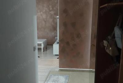 Apartament cu 2 camere semidecomandat în Roșu - 9