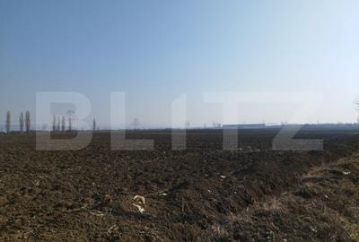 Teren de 10000 mp, în Berceni