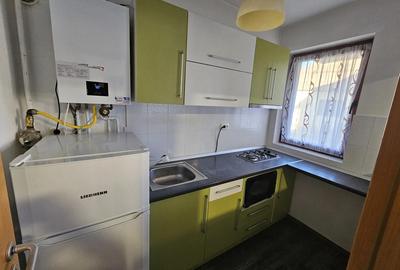 Proprietar inchiriez apartament 1 camera Dumbravita - 5