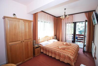 Vila de vanzare in Sinaia – investitie ideala in inima statiunii - 6