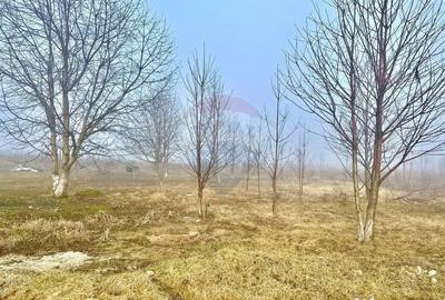 Teren în Turturești - 2