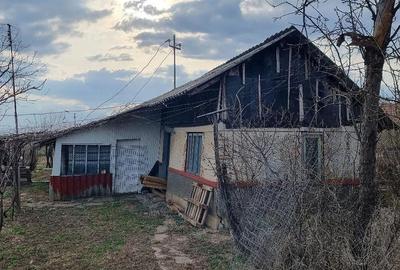 Casă cu 2 camere cu Teren 1200 Mp în Sălciile - 8