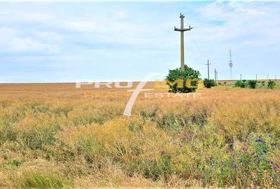 Teren Construcții intravilan de 590 mp, în Tuzla