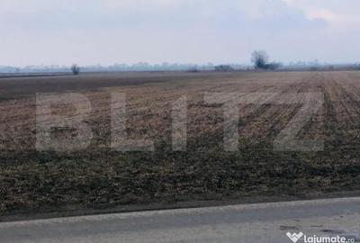 Teren de 30000 mp, în Central - 2