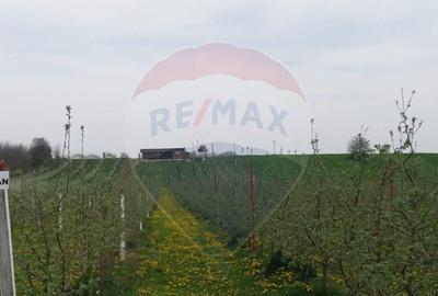 Vanzare teren Livada - Ferma Arges - Izbasesti / DN 142 l... - 10