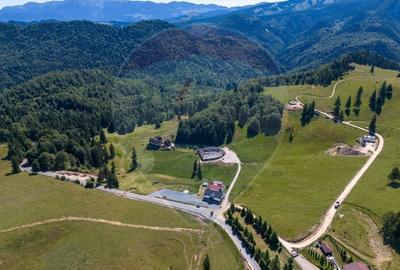 Teren 56599mp Dambovicioara / Soseaua DN 73Dealul sasului! - 8