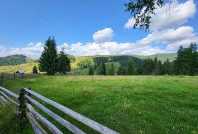 Teren de 5000 mp, în Ortoaia - 5