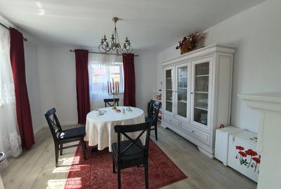 Casa de vacanta | Curte | Teren | Belciugatele | Calarasi - 2