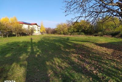 Teren de 1560 mp, în Poiana - 3