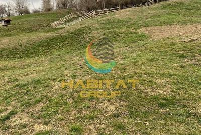 Teren de 2798 mp, în Corbeni - 8